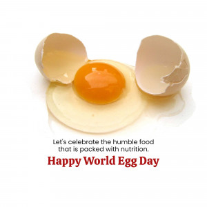 Broken egg with yolk on a white surface, celebrating World Egg Day.