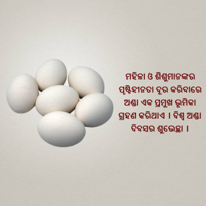 A group of six white eggs arranged on a light beige surface with text in an unknown script.