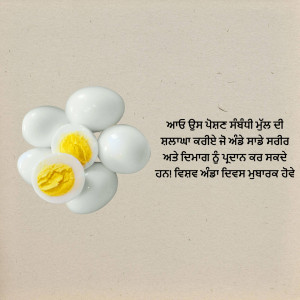 A top-down view of several peeled boiled eggs, some halved to show the yolk, against a beige background with Punjabi text.