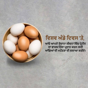 A bowl of brown and white eggs with text in Punjabi