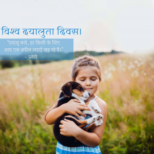 A young girl lovingly cradling a litter of puppies in a field.