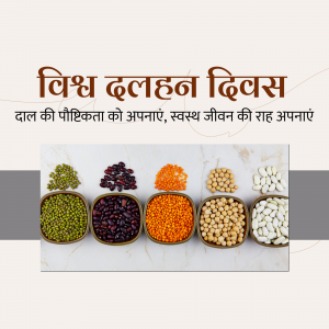 Assortment of different types of lentils and pulses