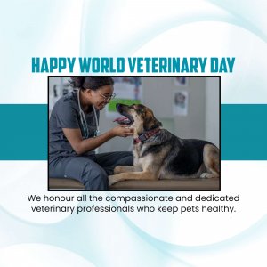 Veterinarian examining a dog on World Veterinary Day