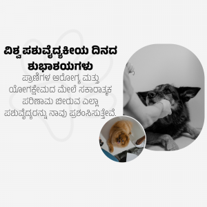 Close-up of a hand gently holding the paw of an elderly dog, with a smaller inset image of a fluffy puppy.