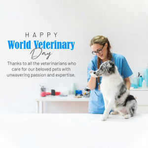 A veterinarian examining a dog on World Veterinary Day