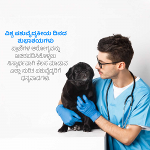 A veterinarian in a blue coat is gently examining a black pug.