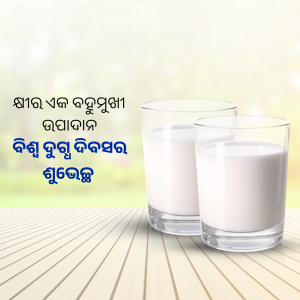 Two glasses filled with white milk on a wooden surface with text in Odia script.