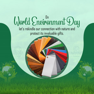 World Environment Day graphic with color swatches and nature imagery.