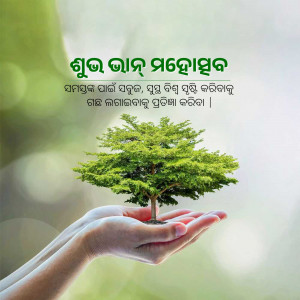 Hands cradling a small tree, symbolizing environmental conservation and growth.