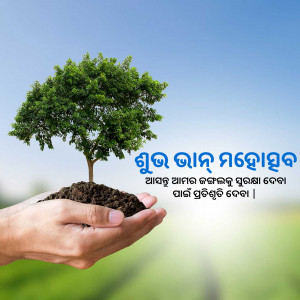 Hands gently cradling a young tree sapling in soil, symbolizing growth and environmental care.