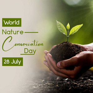 Hands holding soil with a seedling, celebrating World Nature Conservation Day