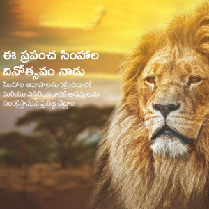 Close-up of a male lion's face with text overlay in Telugu script