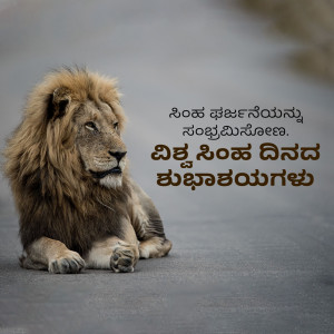 A close-up of a male lion lying on a road with Kannada text overlayed.