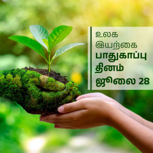 Hands cradling a small plant growing from soil, symbolizing environmental protection.
