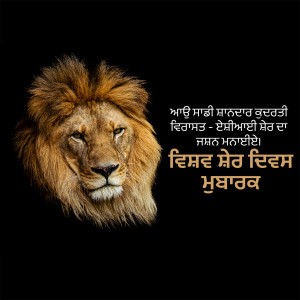 Close-up of a lion's face with text in Punjabi script
