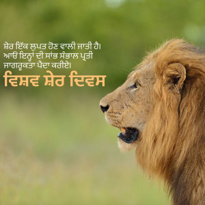 Lion portrait with text in Punjabi script
