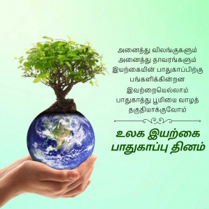 Hands holding a globe with a tree growing on top, representing environmental protection.