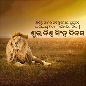 Lion resting in a field with text in Odia script