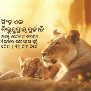 A lioness lovingly nuzzles her two cubs in a golden-lit savanna.