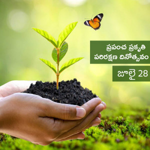 Hands holding a seedling with a butterfly, promoting environmental awareness.