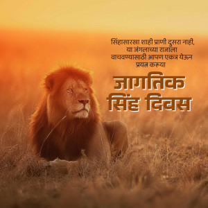 Lion portrait with text in Marathi celebrating World Lion Day