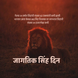 Lion portrait with text in Marathi celebrating World Lion Day