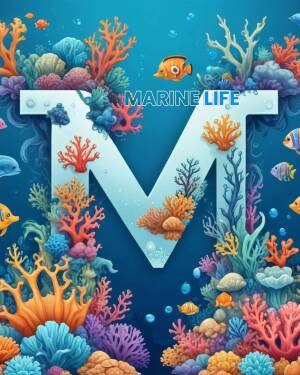 Letter 'M' creatively designed with coral and marine life