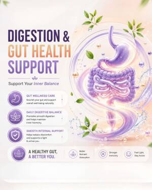 Infographic promoting gut health and digestion support with stylized stomach and intestine illustration