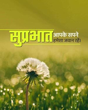 Image with 'Suprabhat' (Good Morning) written in Hindi with a dandelion flower.