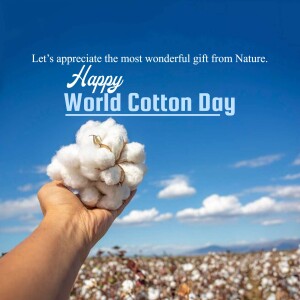 Hand holding cotton against a blue sky and cotton field background