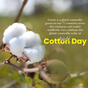 Close-up of cotton boll with text celebrating World Cotton Day