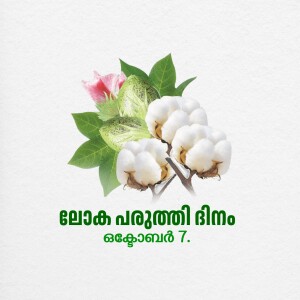 Close-up of a cotton plant with blooming flowers and fluffy cotton bolls.