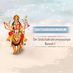 Image of Goddess Shatchakra Ramavasini riding a lion
