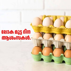 A carton of brown eggs on a white surface