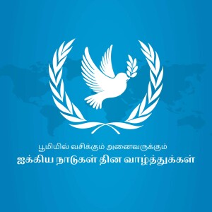 United Nations emblem featuring a dove and olive branches on a blue background.