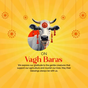 Image of a cow decorated for Vagh Baras festival
