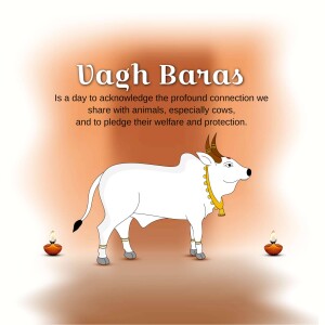 Image depicting a white cow with decorations, representing Vagh Baras, a day to acknowledge the connection with animals.