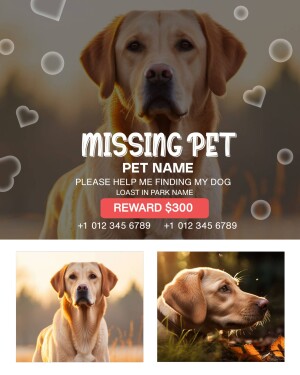 Missing dog poster with a picture of a Labrador Retriever and reward information.