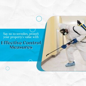 Pest control worker spraying insecticide to eliminate termites