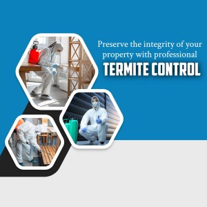 Termite control professionals inspecting and treating a property