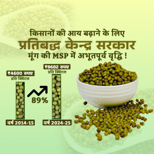 Image depicting increased Minimum Support Price (MSP) for Mung Beans, showcasing growth and farmer benefits.