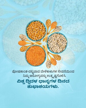 Assortment of colorful grains and pulses arranged in a circular pattern.