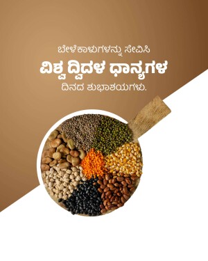 A colorful assortment of pulses and grains in a circular arrangement.