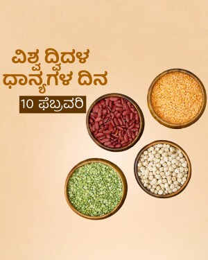 Top-down view of various types of pulses in small bowls