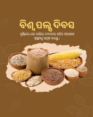 Assortment of grains and pulses in earthen bowls