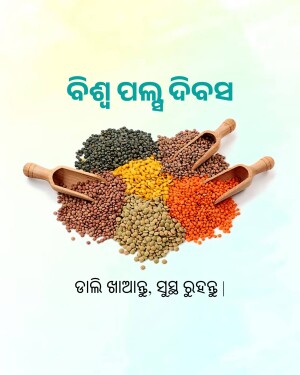 A colorful assortment of different types of lentils in wooden scoops.