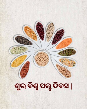 A colorful arrangement of different types of lentils on white spoons.