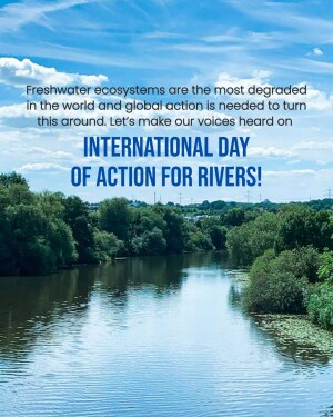 Scenic view of a river with text promoting International Day of Action for Rivers