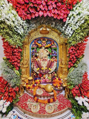 Image of Hanuman Ji idol adorned with vibrant red and white flowers.