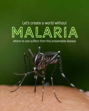 Close-up of a mosquito on skin with text promoting malaria prevention